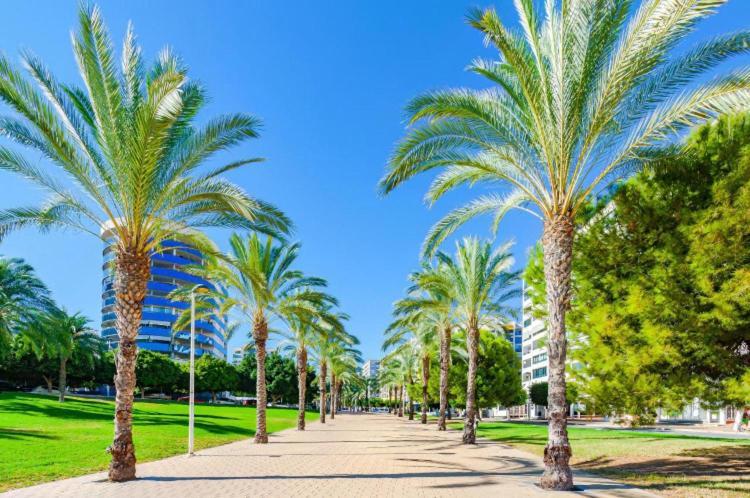 Cala Cosy Apartman Benidorm Kültér fotó